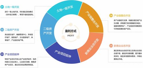 商业地产规划 商业地产定位 商业地产招商 商业地产运营